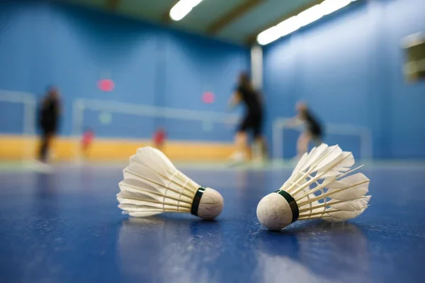 depositphotos_19598399-stock-photo-badminton-badminton-courts-with-players